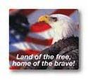 land of the free eagle sticker