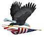 Eagle with United States Flag